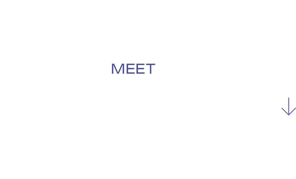meet-janine-text meet-janine-text